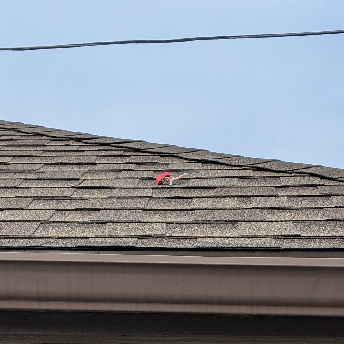 oh my god twitter doesn’t include alt text from images in their API