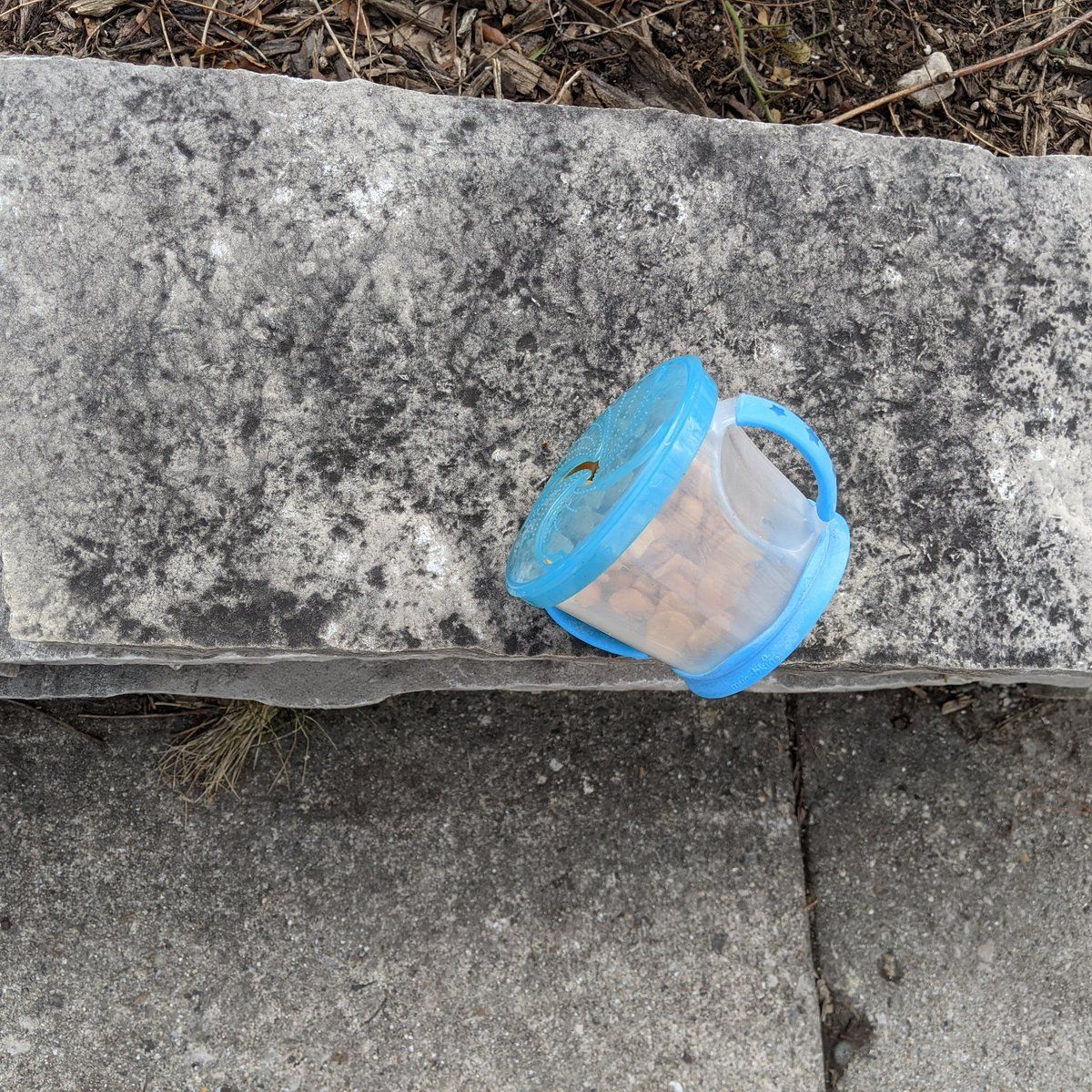 oh my god twitter doesn’t include alt text from images in their API