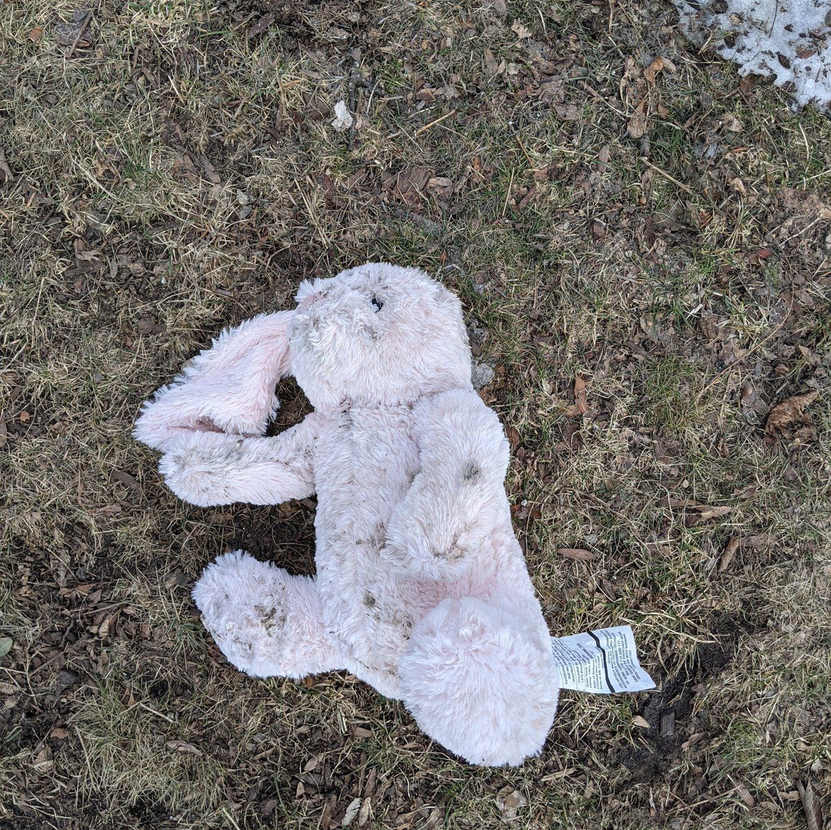 oh my god twitter doesn’t include alt text from images in their API